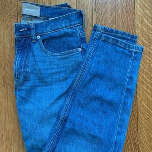 Everlane High Rise Skinny Jean
